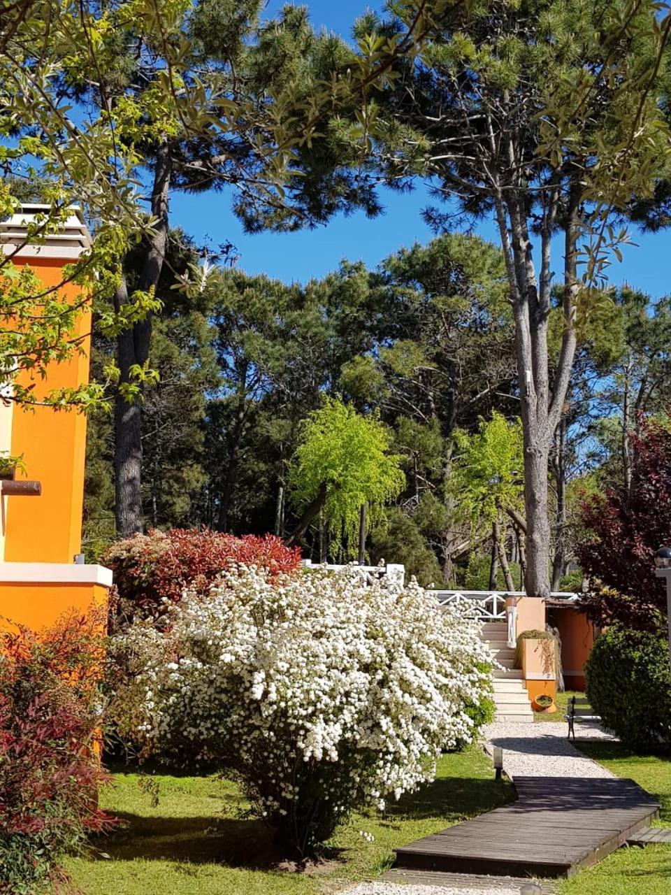 Complejo Viva Zapata Villa Mar de Las Pampas Eksteriør bilde